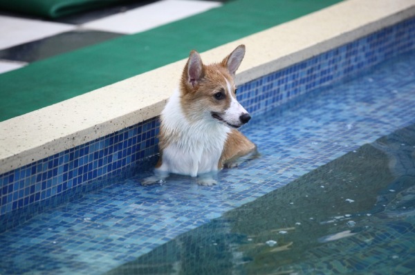 3377体育_礼仪职中老师前往实习基地看望顶岗实习学生及往届毕业生(图4) 3377体育