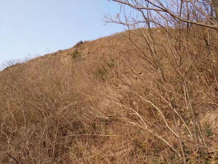 3377体育-信阳师院华锐学院教师科研成果获河南省自然科学优秀学术奖(图1) 3377体育