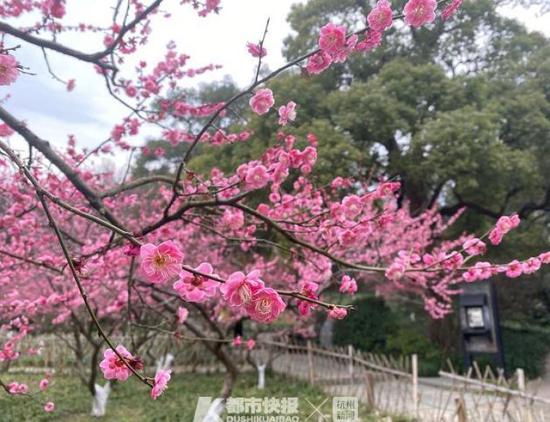 ‘3377官网’新疆财经大学2017年普通本科录取查询系统 入口:http://zsjy.xjufe.edu.cn/admitquery(图1) 3377体育