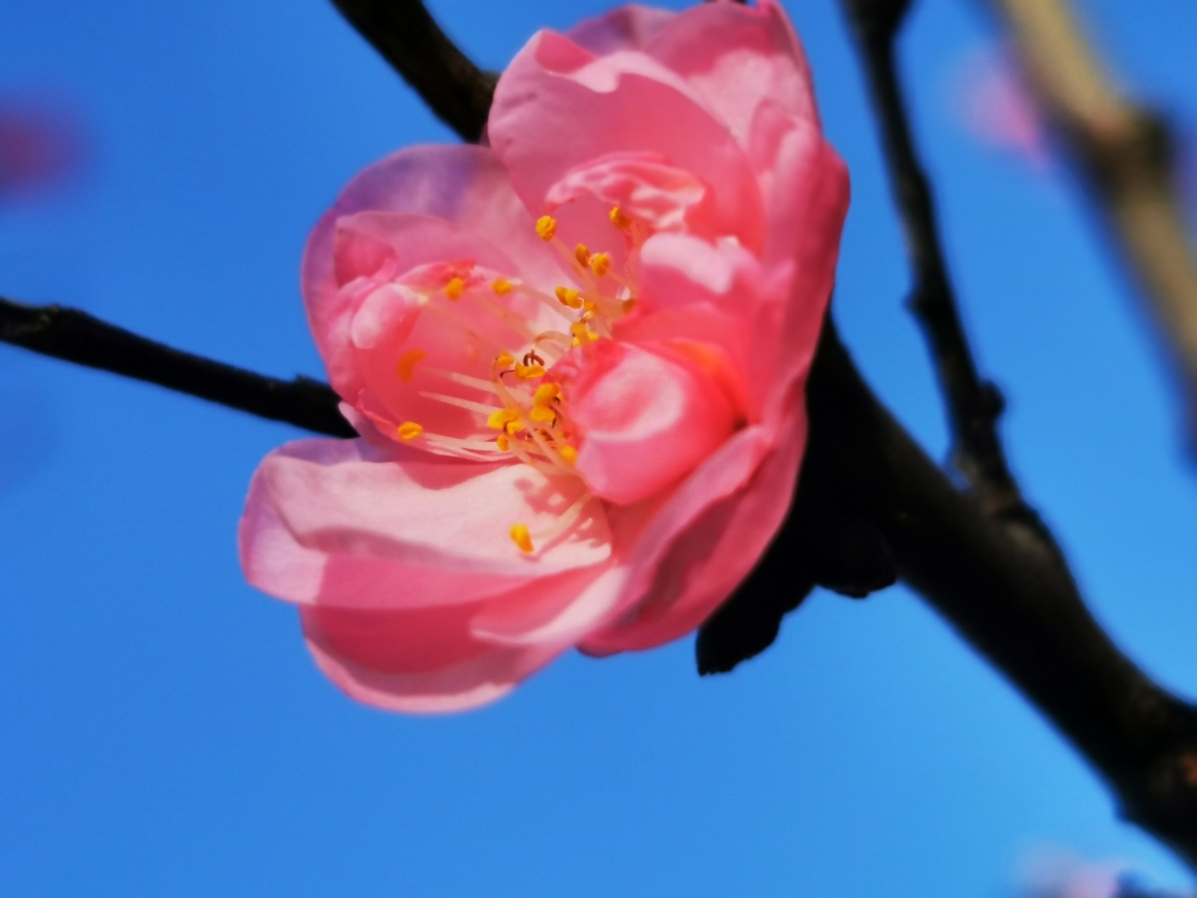 “90后”副院长谈回国任教:对社会和国家有使命-3377app(图1) 3377官网