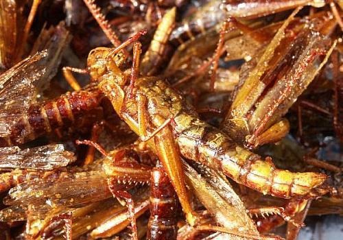 ‘3377官网’“一带一路”国际职业教育论坛在威海举办(图2) 3377体育