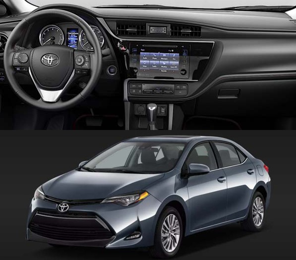 湖北冠军种猪拍出8.9万元_3377app