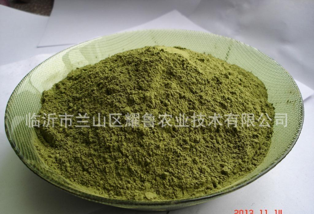 3377app_许昌学院文学与传媒学院开展第22期分党校培训课程(图1) 3377体育