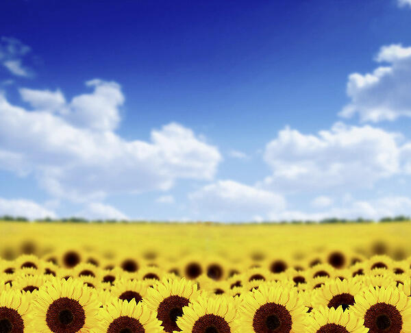 3377app_大连市每年近2万中职生不用再交学费(图1)