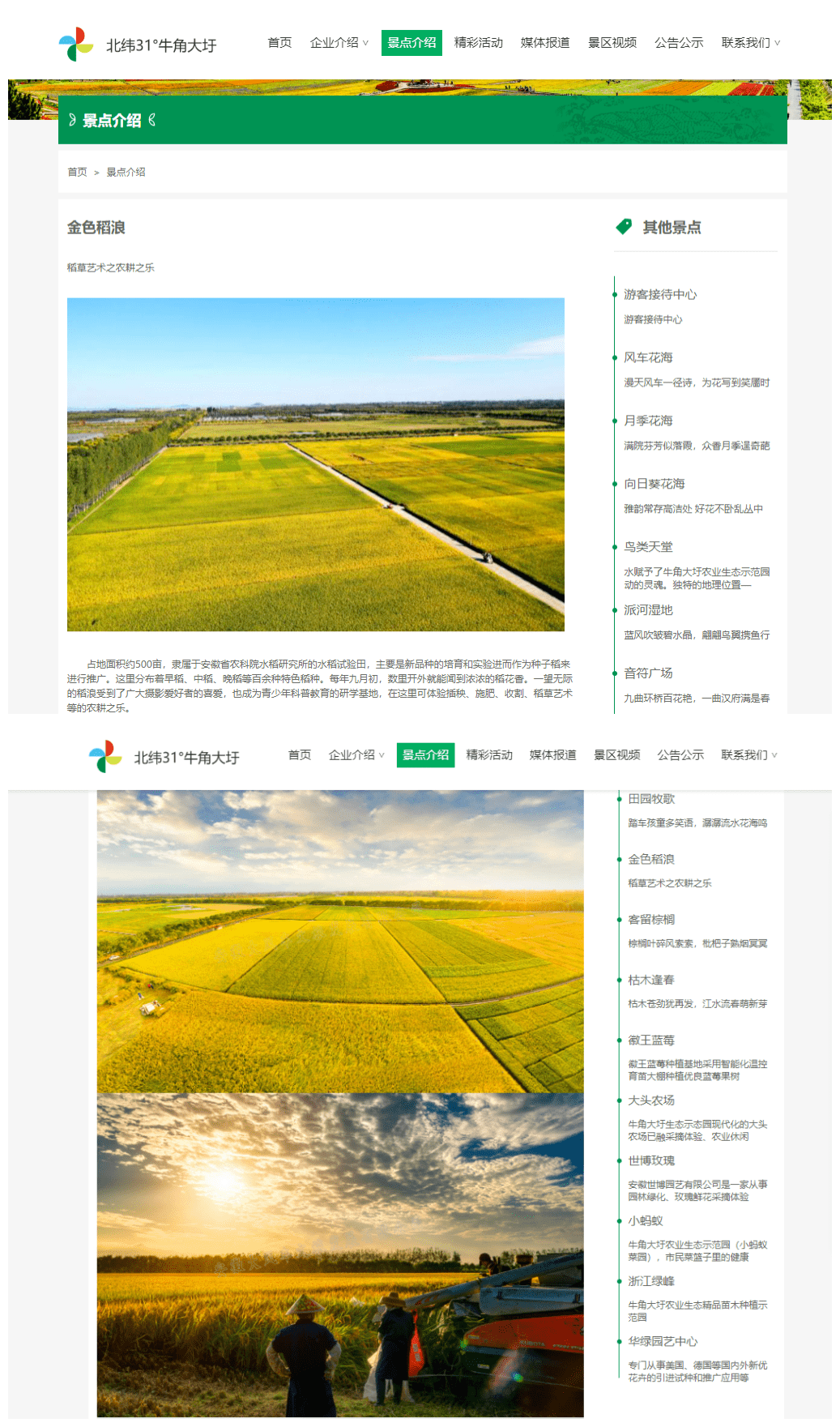 
就在今天！牛角大圩官方网站正式上线！“3377官网”(图10)