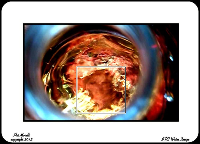 【3377官网】职业教育迎来 “黄金时代” 全国9所老牌职大开启“南通对话(图3) 3377官网