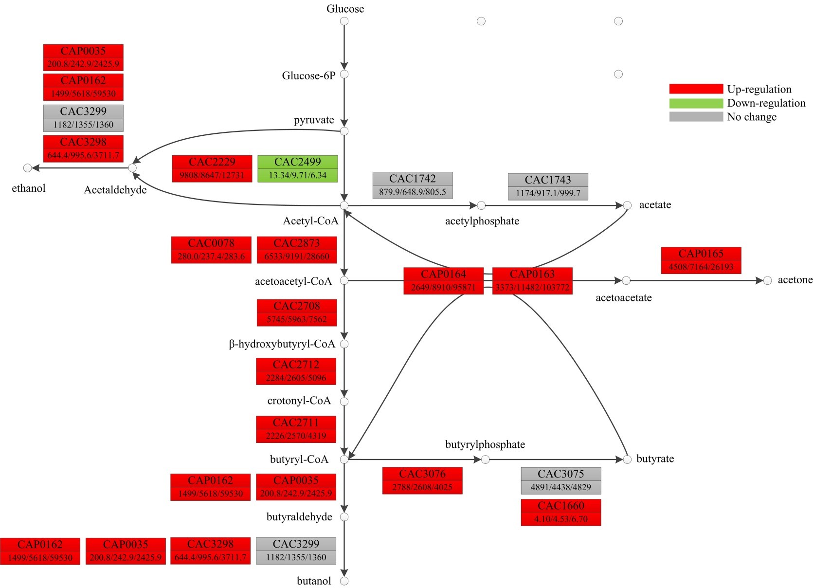 打造医药卫生职业教育的“中国品牌”:3377app(图2) 打造医药卫生职业教育的“中国品牌”:3377app(图2)
