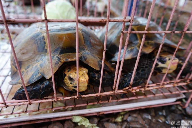 伊犁州职业教育五年培养近万名技师【3377app】(图1) 伊犁州职业教育五年培养近万名技师【3377app】(图1)