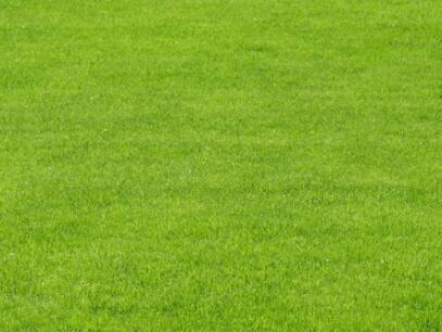 ‘3377体育’19年9月9日—9月12日营养的带量食谱(图1)