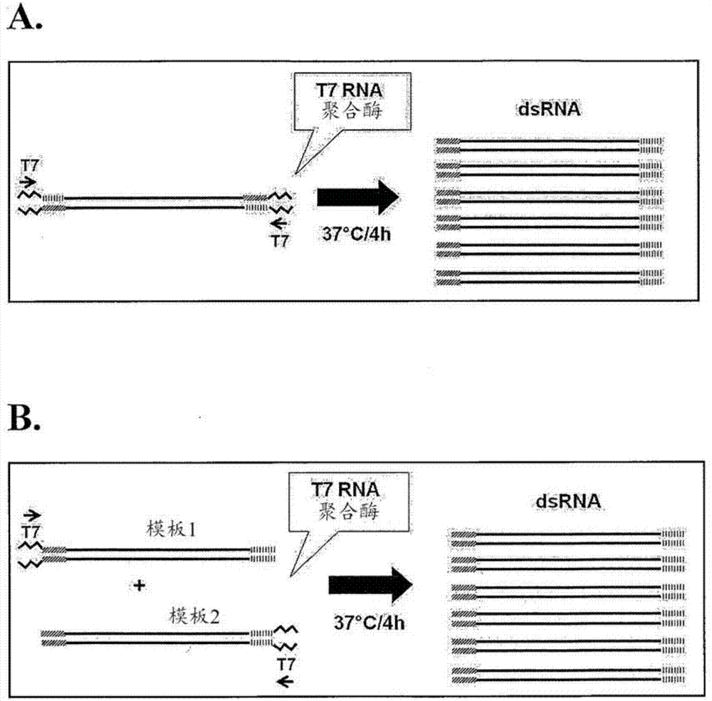 3377体育_湖南省扎根湖湘大地办好新时代职业教育(图4) 3377体育_湖南省扎根湖湘大地办好新时代职业教育(图4)
