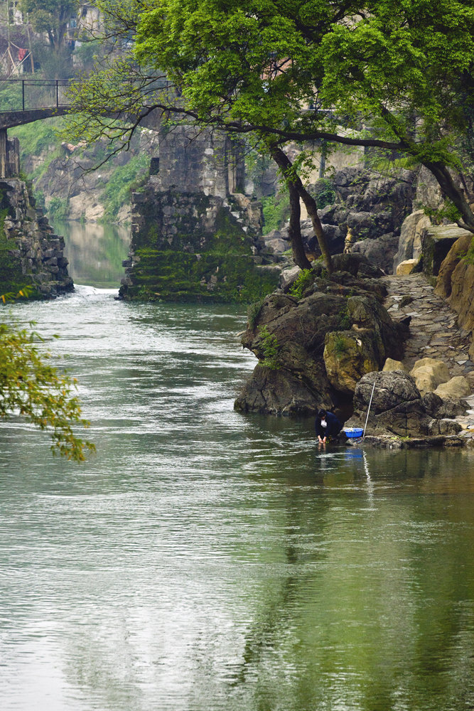 “3377体育”澳致力于大龙虾的人工圈养研究期待养殖新成果(图2)