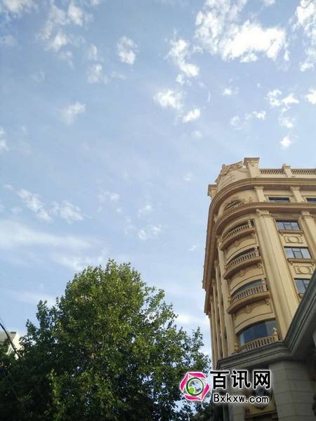 3377体育|重庆一肥猪重达700斤杀猪匠称宰不了(图1)