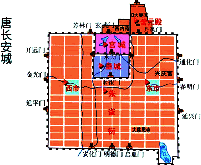 3377体育